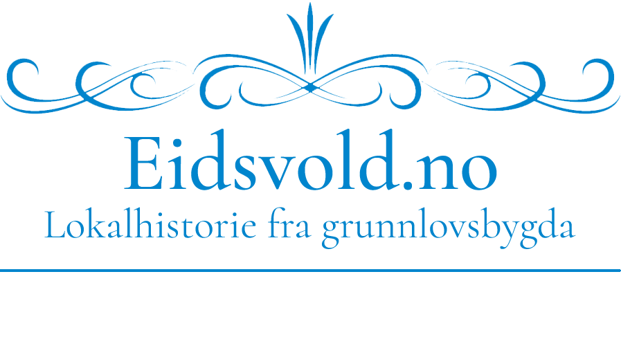 Eidsvold.no logo